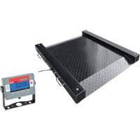 DEFENDER Drum Scale, 2500 lbs. Capacity, 30" W x 30" L Cintas
