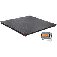 DEFENDER 3000 Floor Scale, 2500 lbs. Capacity, 48" W x 48" L Cintas