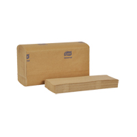 Multifold Towels, 1 Ply, 9-1/10" L x 9-1/2" W, 250 /Pack Cintas