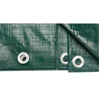 B&acirc;che, Robuste, Vert, 8' x 6' x 9 mils Cintas