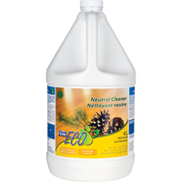 Floor & Carpet Care