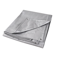 B&acirc;che, Super robuste, Argent, 10' x 8' x 12 mils Cintas