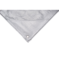 B&acirc;che, Super robuste, Argent, 10' x 8' x 12 mils Cintas