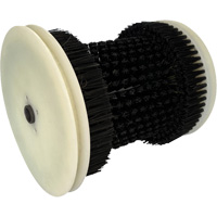 Refill Brush Cintas