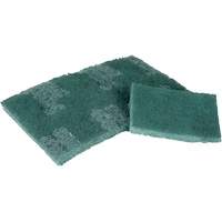 Scrubber Pad, 3" L x 4-1/2" W Cintas