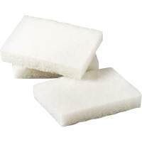 Scotch-Brite Light Duty Scrubbing Pad, 5" L x 3-1/2" W Cintas