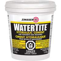 Watertite&reg; Hydraulic Cement Cintas