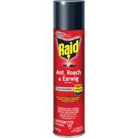 Insecticide contre fourmis, coquerelles et perce-oreilles Raid, 350 g, &agrave; base de solvant Cintas
