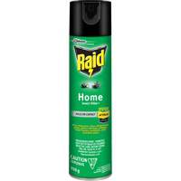 Insecticide pour insectes domestiques Raid, 350 g, &agrave; base de solvant Cintas