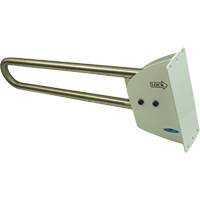 Swing-Up Safety Rail Cintas