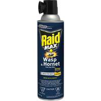 Raid&reg; Max&reg; Wasp & Hornet Foam Bug Killer, 500 g, Aerosol Can, Solvent Base Cintas
