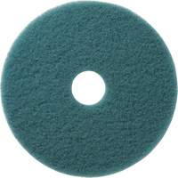 Aqua Floor Pads, 19", Burnishing, Aqua Cintas