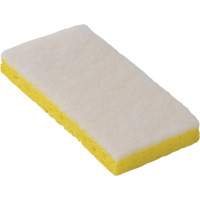 745W Light-Duty Scouring Sponges, 6-1/4" L x 3-1/5" W Cintas