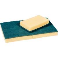 Sponges