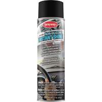 Auto-Care Non-Silicone Instant Shine Cintas