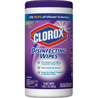 Disinfecting Wipes, 75 Count Cintas