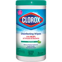 Disinfecting Wipes, 75 Count Cintas