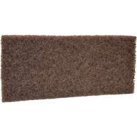 Coarse Scrub Pad, 10" L x 4-1/2" W Cintas