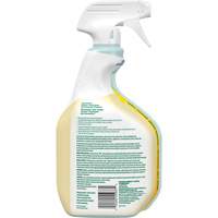 CloroxPro Clorox EcoClean All-Purpose Cleaner, 946 ml, Trigger Bottle Cintas