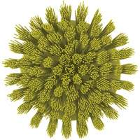 Brosse ronde HyDrive pour perceuse, Soies Tr&egrave;s ferme, Longueur de 3-1/10", Jaune Cintas