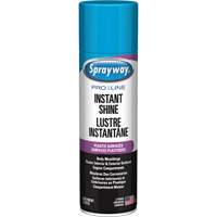 Pro Line Instant Shine for Plastic Surfaces, 11 oz., Aerosol Can Cintas