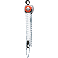 Hurricane 360° Chain Hoist, 10' Lift, 1000 lbs. (0.5 tons) Capacity, Steel Chain Cintas