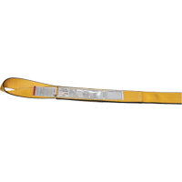 Polyester Slings, Double Ply, Twisted Eye, Type 4, 2" W x 12' L, 6200 lbs. Vertical Cap. Cintas