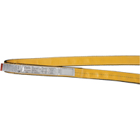 Polyester Slings, Double Ply, Endless, Type 5, 1" W x 3' L, 6200 lbs. Vertical Cap. Cintas