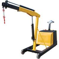 Grue d'atelier &eacute;lectrique, Lev&eacute;e 8,8', 1500 lb (0,75 tonne), 44-1/4" bras, 62-1/4" ha Cintas