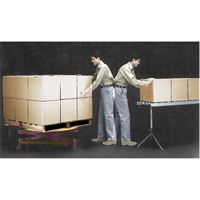 Spring-Operated Pallet Lifters - Pallet Pal&reg;, 43-5/8" L x 43-5/8" W, 4500 lbs. Cap. Cintas
