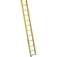 Single Section Straight Ladder - 6100 Series, 10', Fibreglass, 375 lbs., CSA Grade 1AA Cintas