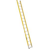 Single Section Straight Ladder - 6100 Series, 14', Fibreglass, 375 lbs., CSA Grade 1AA Cintas