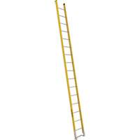Single Section Straight Ladder - 6100 Series, 16', Fibreglass, 375 lbs., CSA Grade 1AA Cintas