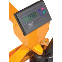 Digital Scale Pallet Truck, 27.5" L x 27.5" W, 5000 lbs. Cap. Cintas