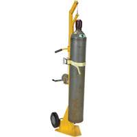 Portable Cylinder Lifter Cintas