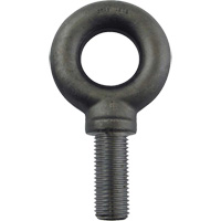 Alloy Steel Eye Bolt, 2-1/2" Dia., 3-1/2" L, 26600 lbs. (13.3 tons)/26600 lbs. Capacity Cintas