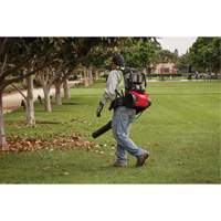 M18 FUEL Dual Battery Backpack Blower Kit, 18 V, 155 MPH Output, Battery Powered Cintas