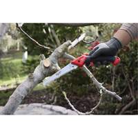 7” Folding Pruning Saw with ?Straight Blade Cintas