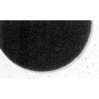 7300 Pro-Strip Pads, 17", Stripping, Black Cintas