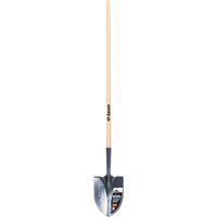 Pelle ronde Pro, Lame Acier durci, Bois, Manche Droit Cintas