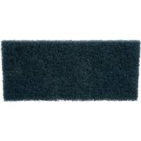 Scrubber Pad, 10" L x 4-5/8" W Cintas