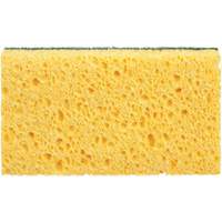 Utility Sponges, Cellulose, 6" W x 3-1/2" L Cintas