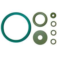 BIO-CIRCLE Replacement Gasket Set Cintas