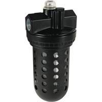 Filters, Regulators & Lubricators