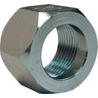 &eacute;crou hexagonal de minage Dixon, 1", Zingu&eacute;, Filetage NPT Cintas