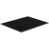 Tapis Gritstop Fingermat, Caoutchouc, Grattoir Type, Motif Textur&eacute;, 2' x 2-2/3', Noir Cintas