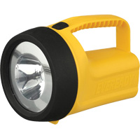 Lanterne flottante Readyflex de EverReady, DEL, 80 Lumens, Piles D Cintas
