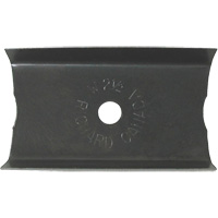 2-1/2" Paint Scraper Cintas