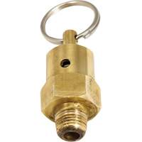 Viton&reg; Pressure Relief Valve Cintas