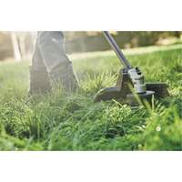 Max* Cordless Brushless Attachment-Capable String Trimmer, 17", Battery Powered, 60 V Cintas